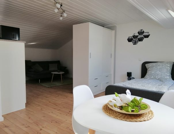 1-Zimmer Apartment